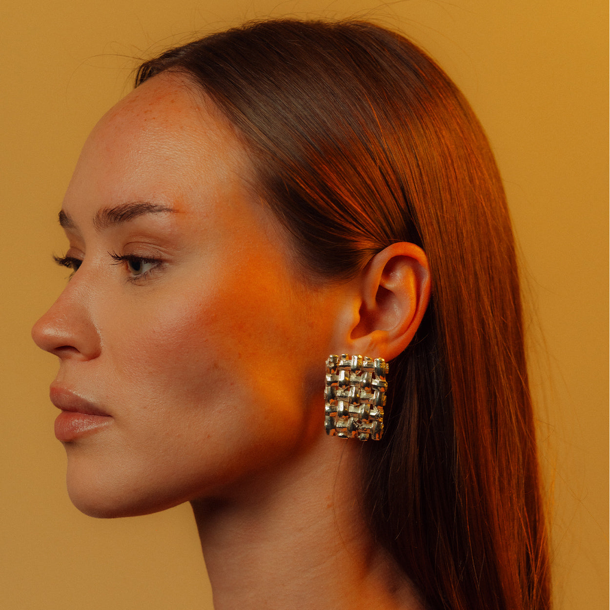 Aretes Arraigo