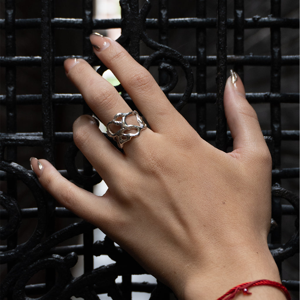Anillo Encuentros